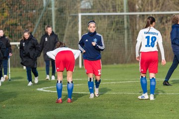 Bild 27 - B-Juniorinnen HSV - VfL Wolfsburg : Ergebnis: 2:1